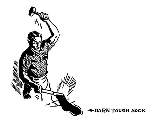 DARN TOUGH SOCK logo