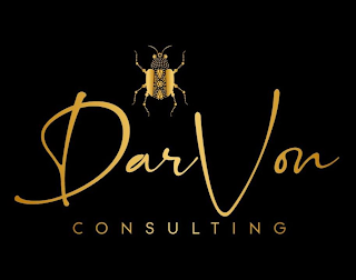 DARVON CONSULTING logo