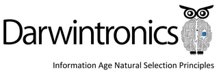 DARWINTRONICS INFORMATION AGE NATURAL SELECTION PRINCIPLES logo