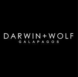 DARWIN+WOLF GALAPAGOS logo