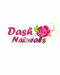 DASH NATURALS logo