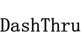 DASHTHRU logo