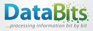 DATA BITS...PROCESSING INFORMATION BIT BY BIT logo