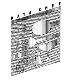 DATA CHEF logo