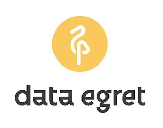 DATA EGRET logo
