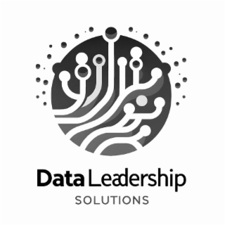 DATA LEADERSHIP SOLUTIONS logo