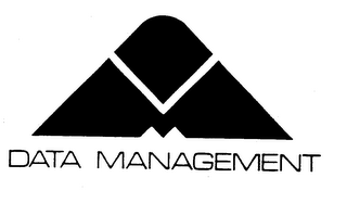 DATA MANAGEMENT logo