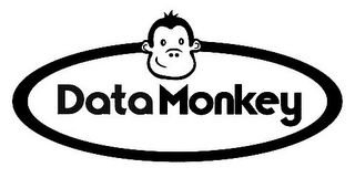 DATA MONKEY logo