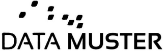 DATA MUSTER logo