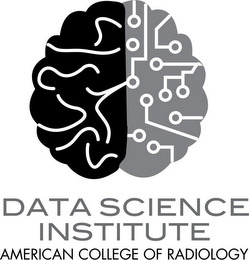 DATA SCIENCE INSTITUTE AMERICAN COLLEGE OF RADIOLOGY logo