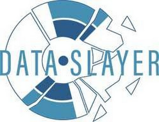 DATA SLAYER logo