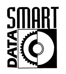 DATA SMART logo