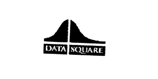 DATA SQUARE logo