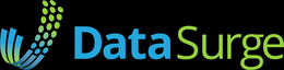 DATA SURGE logo