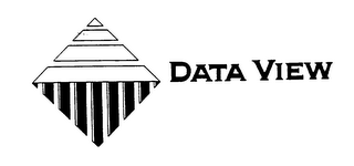 DATA VIEW logo