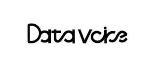 DATA VOICE logo