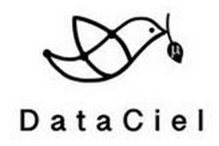 DATACIEL logo