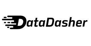 DATADASHER logo