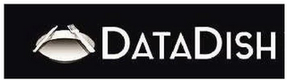 DATADISH logo