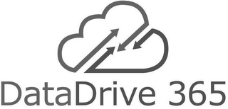 DATADRIVE 365 logo