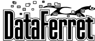 DATAFERRET logo