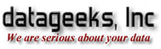 DATAGEEKS, INC WE ARE SERIOUS ABOUT YOUR DATA logo