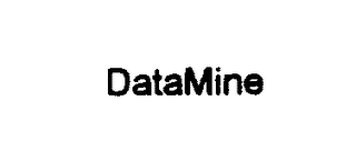 DATAMINE logo