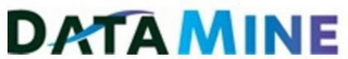 DATAMINE logo