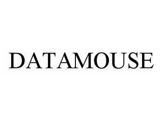 DATAMOUSE logo