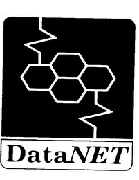 DATANET logo