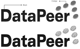 DATAPEER logo
