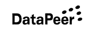 DATAPEER logo