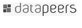 DATAPEERS logo