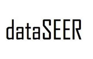 DATASEER logo