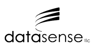 DATASENSE LLC logo