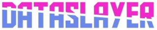 DATASLAYER logo
