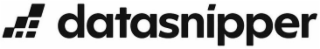 DATASNIPPER logo