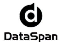 DATASPAN logo