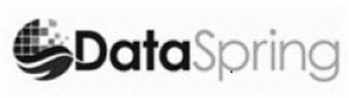 DATASPRING logo