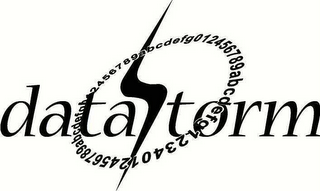 DATASTORM 0123456789ABCDEFGH logo