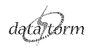 DATASTORM logo