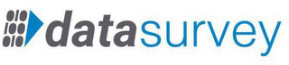 DATASURVEY logo