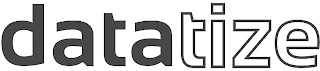 DATATIZE logo