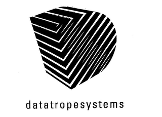DATATROPESYSTEMS logo