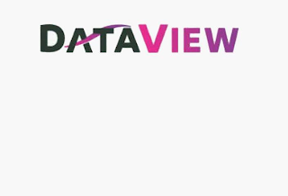 DATAVIEW logo