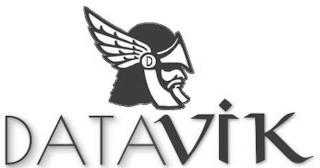 DATAVIK logo