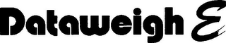 DATAWEIGH logo