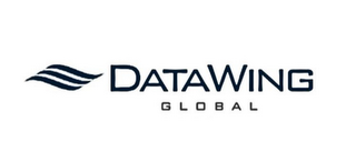DATAWING GLOBAL logo