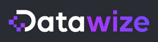 DATAWIZE logo