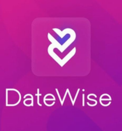 DATEWISE logo